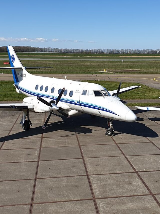 Which-One-Should-You-Choose